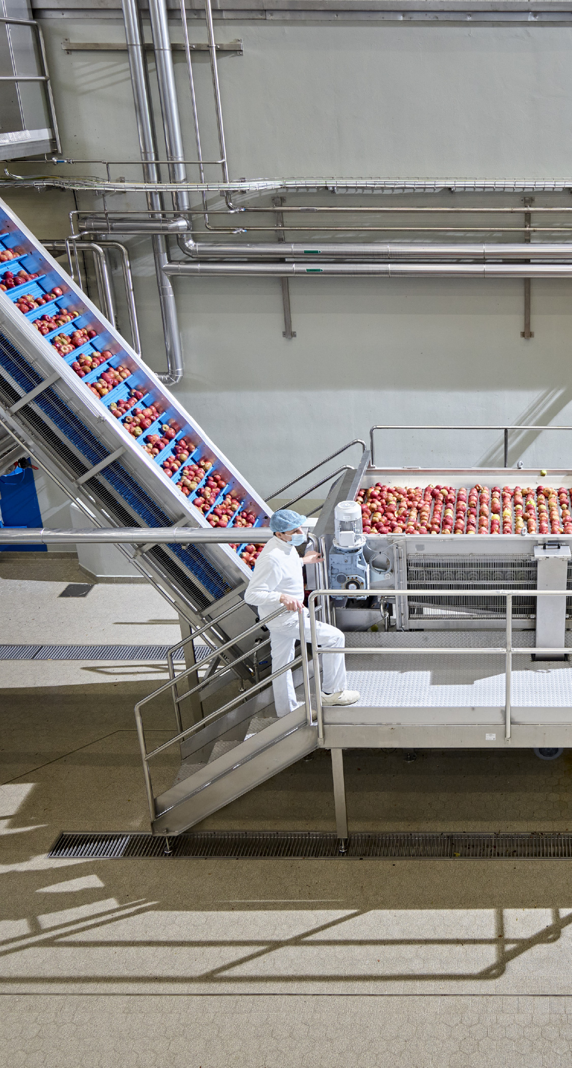 produzione 8 mobil